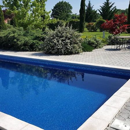 Logement Avec Piscine, Classe 3 Etoiles, De 42 M2 Tout Confort Au Calme Pour Un Couple Cahuzac-sur-Vère Eksteriør billede